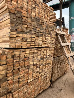 Eucalyptus and Pine Site Supplier