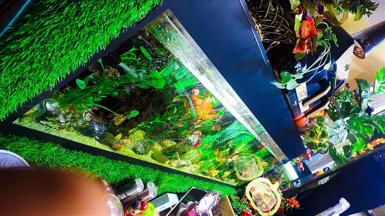 Home Aquarium