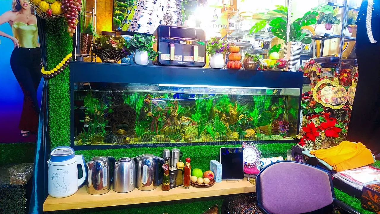 Home Aquarium