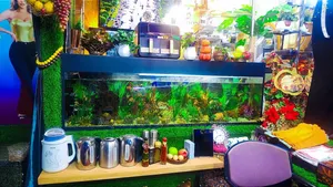 Home Aquarium