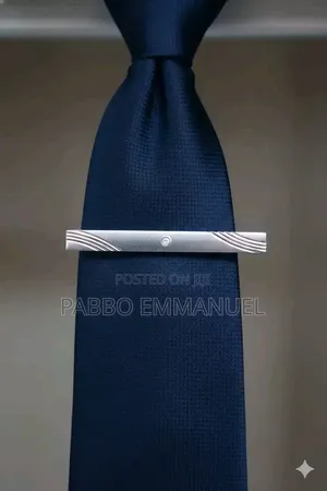 Stylish Steel Necktie Clips