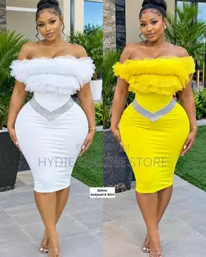 Two Piece Bodysuit and Skirt