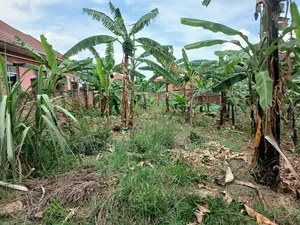 23 Decimals for Sell Masoli Gayaza Rd 260m
