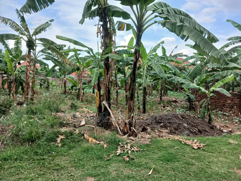 23 Decimals for Sell Masoli Gayaza Rd 260m