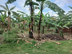 23 Decimals for Sell Masoli Gayaza Rd 260m
