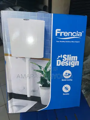 Squatting Pan Toilet/ Flushing Cistern