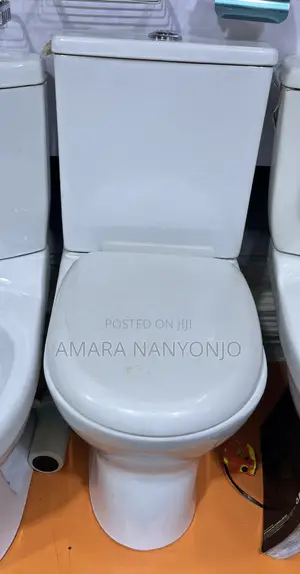 Blossom Toilet and Hand Wash Basin Combo