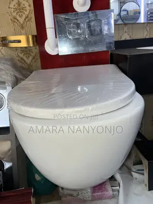 Concealed Wall Hung Toilet/Cistern Tank