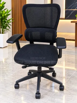 Back Support Pain Office Chairs Office Chairs