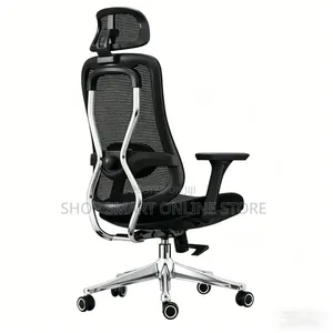 Metal Rod Ergonomic Back Support Office Chairs Office Chairs