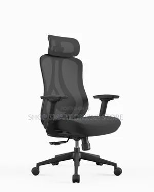 Metal Rod Ergonomic Back Support Office Chairs Office Chairs