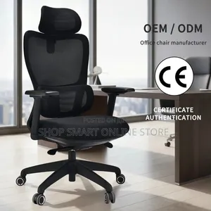 Aunthetified Office Chairs Office Chairs Back Support