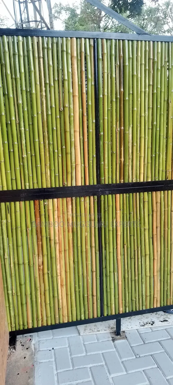 Bamboo Coolling Ceiling