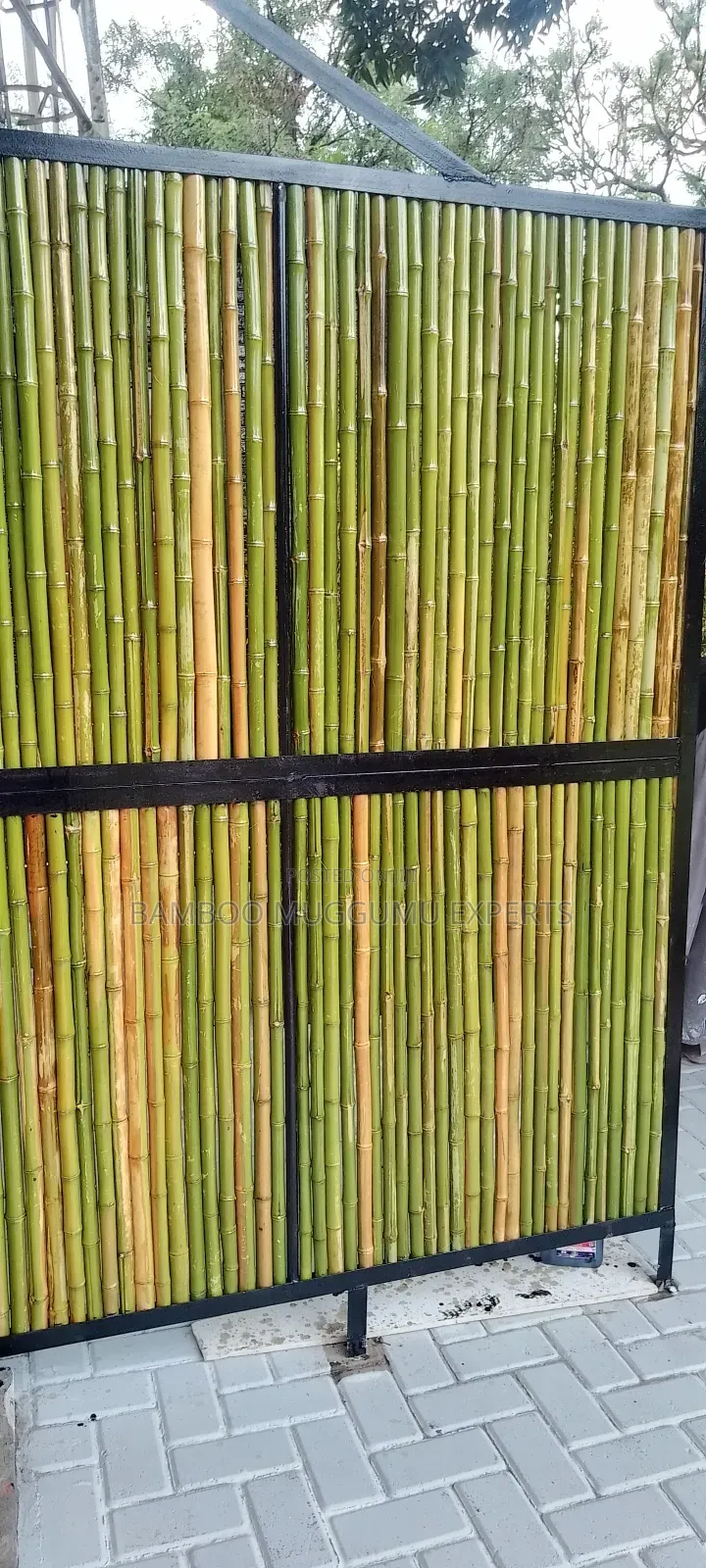 Bamboo Poles, Amabanda, Emigemo