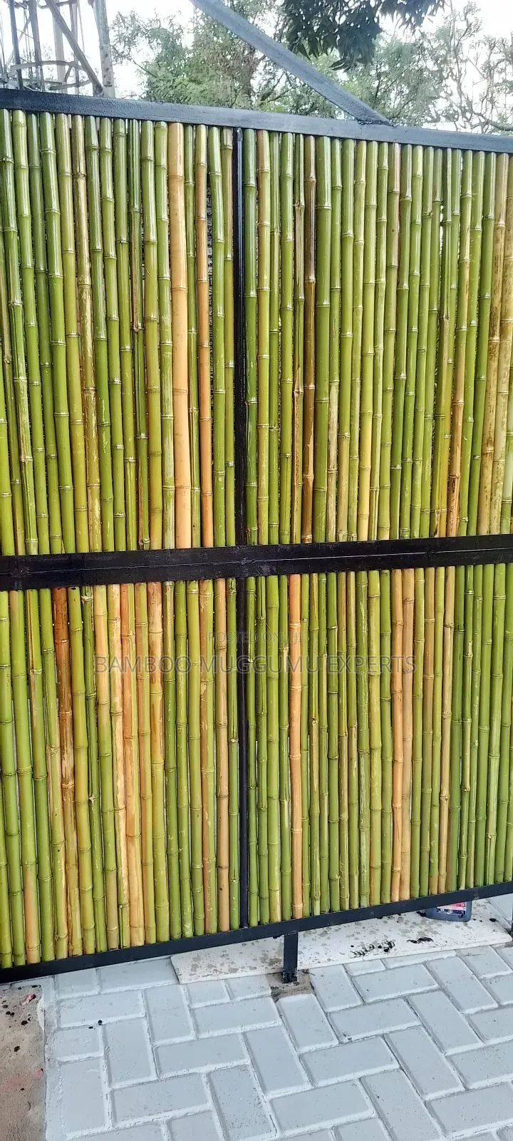 Bamboo Poles, Amabanda, Emigemo