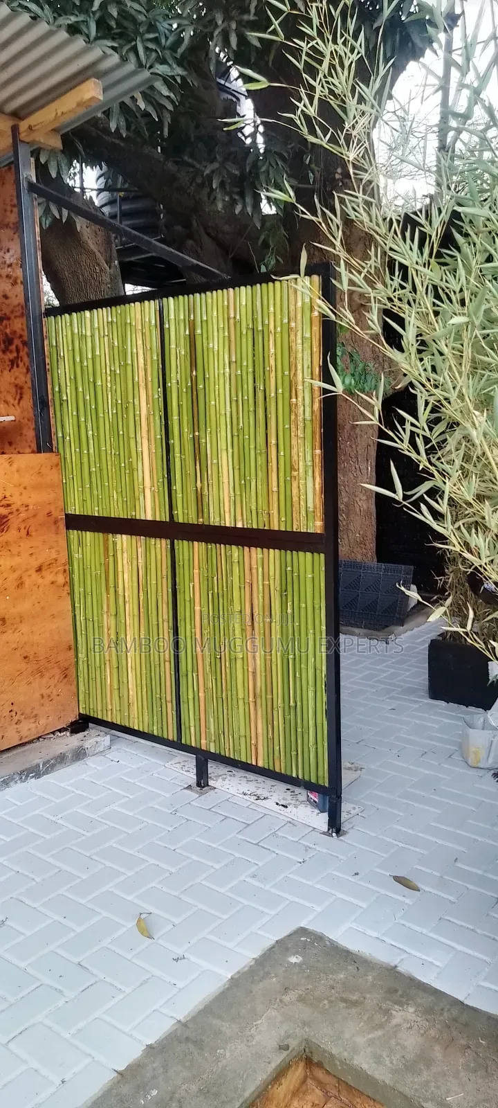 Bamboo Poles, Amabanda, Emigemo