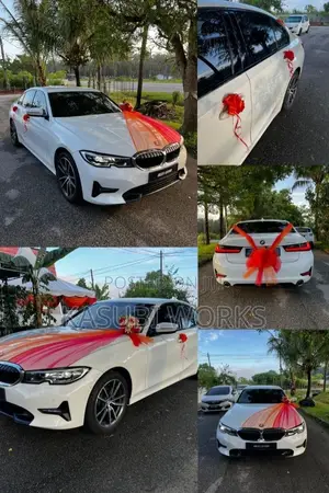 Hire a BMW With Driver