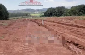 Prime Plots for Sale at Kasenge~Nsagu Nakawuka~Entebbe Road.