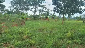 Plot for Sale in Namulesa Jinja City