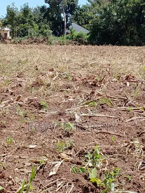 Full 2 Accres of the Land on Quick Sale in Lira City