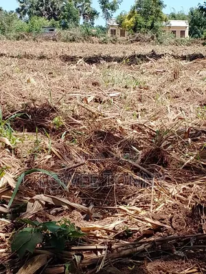 Full 2 Accres of the Land on Quick Sale in Lira City