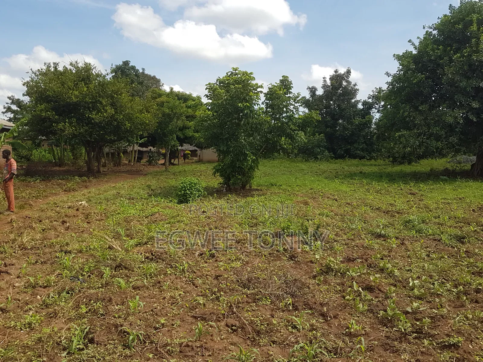 Land on Quick Sale in Lira City