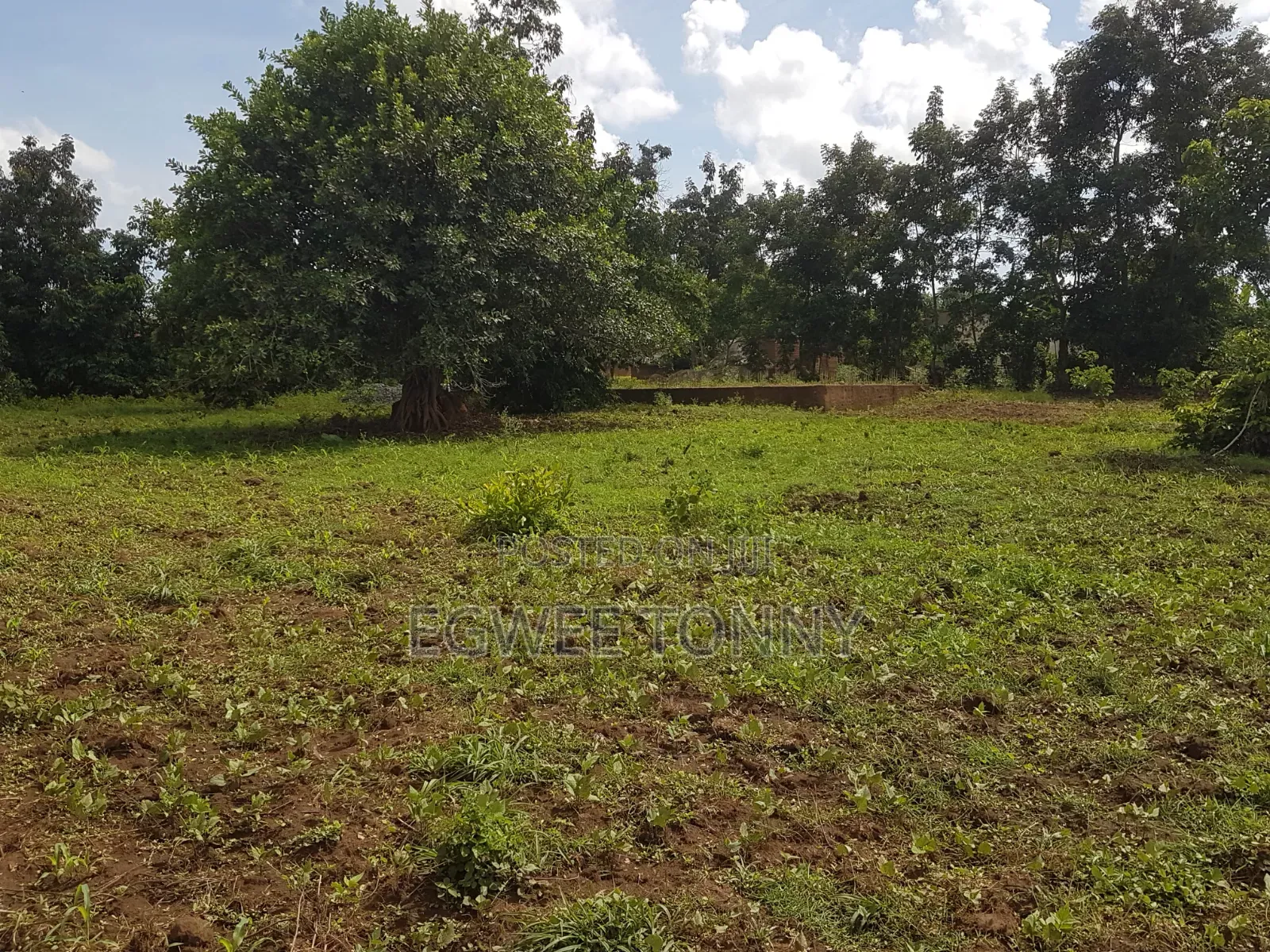 Land on Quick Sale in Lira City