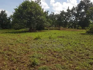 Land on Quick Sale in Lira City