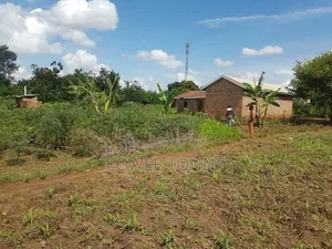 Land on Quick Sale in Lira City