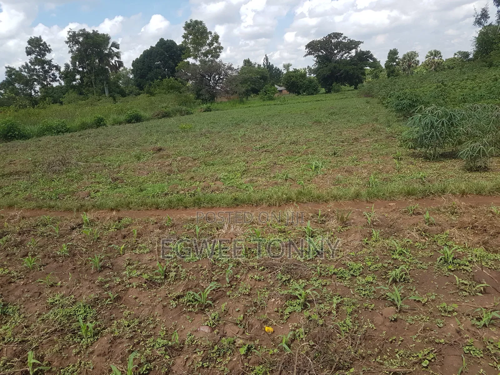 Land on Quick Sale in Lira City