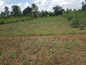 Land on Quick Sale in Lira City