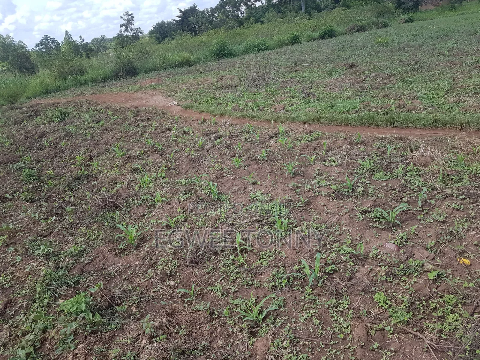 Land on Quick Sale in Lira City