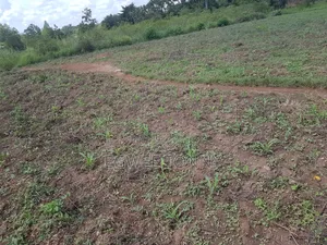 Land on Quick Sale in Lira City