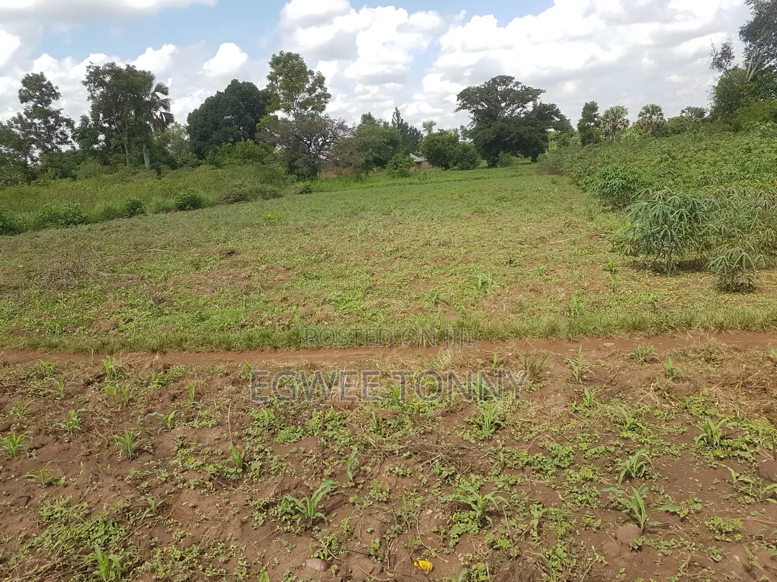 Land on Quick Sale in Lira City