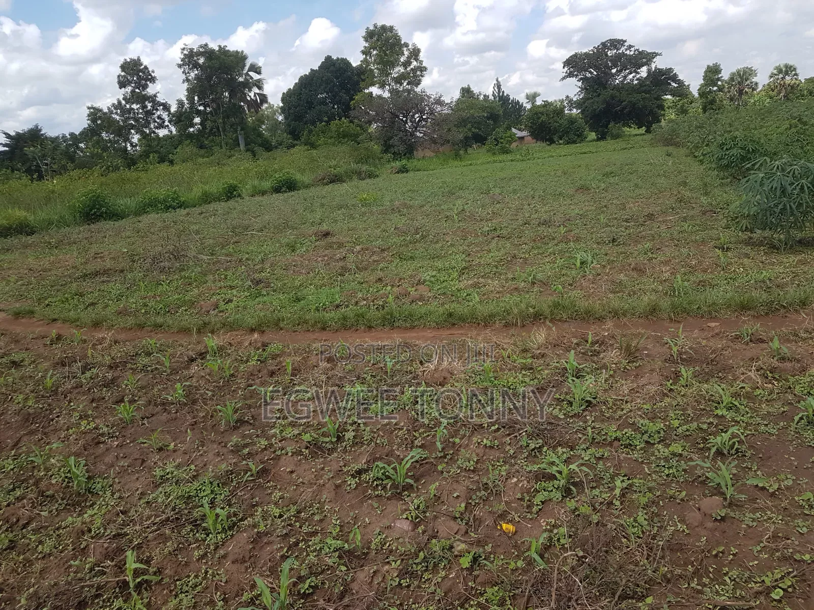 Land on Quick Sale in Lira City