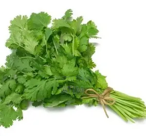 Fresh Greens