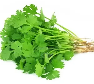 Fresh Greens