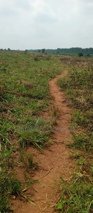Plot for Sale Bugembe Town Council Jinja City
