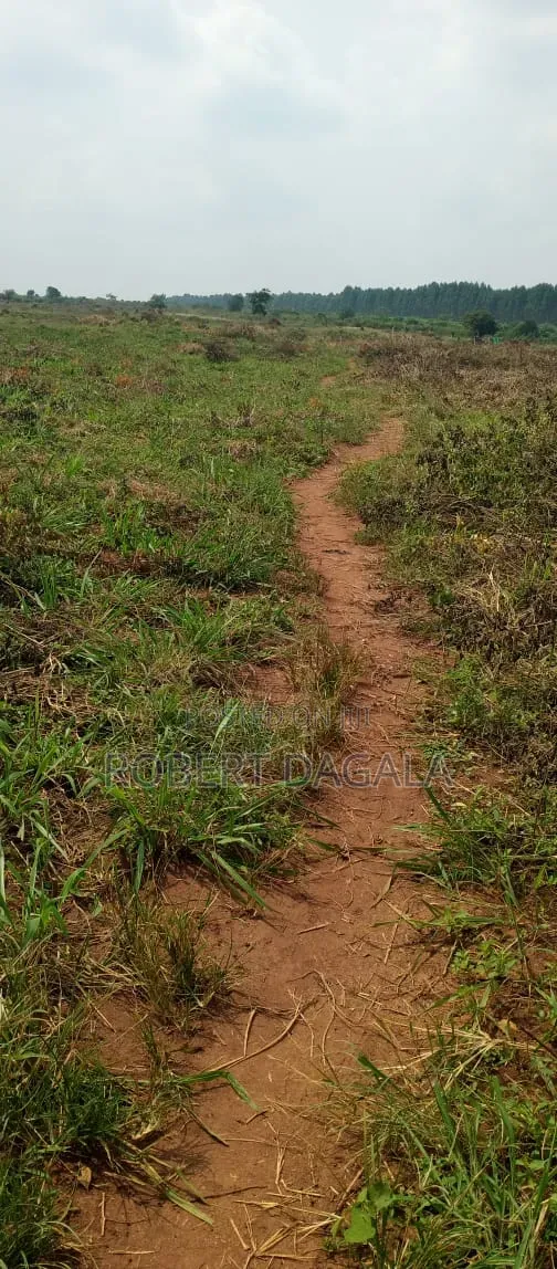 Plot for Sale Bugembe Town Council Jinja City