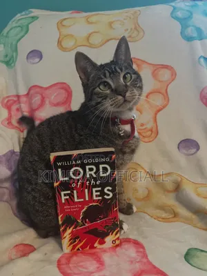 The Lord of the Flies a Book by William Golding: Grow Your Wisdom
