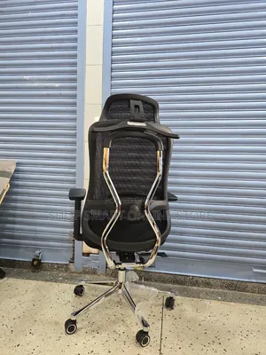 Elegant CEO Office Chairs Office Chairs Back Support