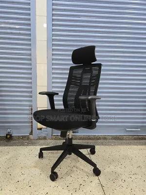 Lumbar Back Support Office Chairs Office Chairs