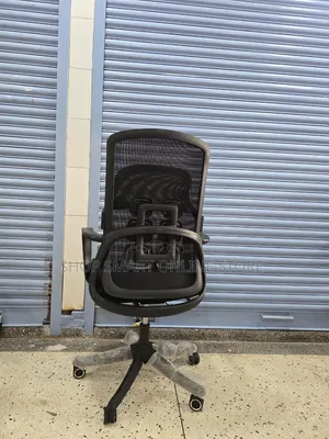 Executive Orthopedic Office Chairs Office Chairs Back Support