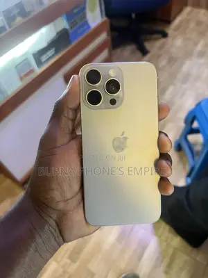 Apple iPhone 15 Pro Max 256 GB Silver