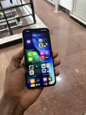 Apple iPhone 15 Pro Max 256 GB Silver