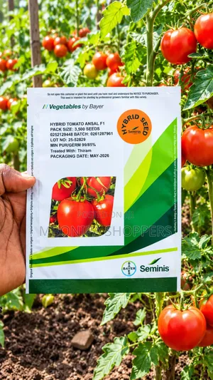 3500 Seeds Ansal F1 Tomato