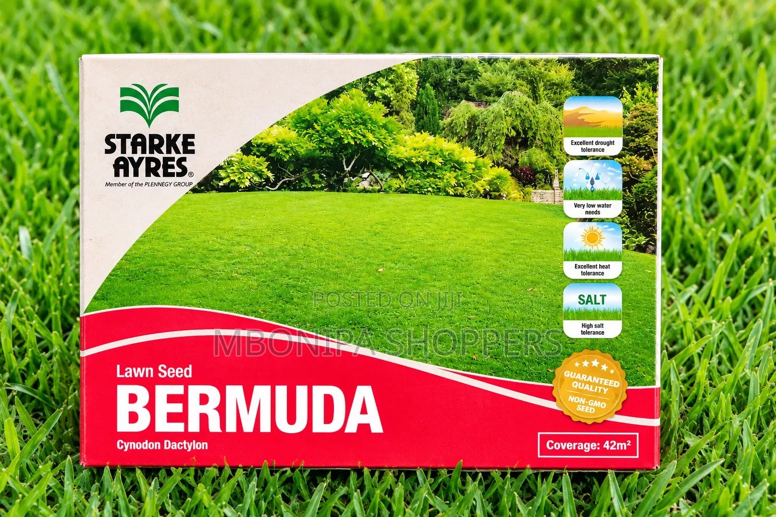 500g Bermuda Lawn Seeds Super Carpet
