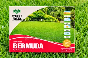 500g Bermuda Lawn Seeds Super Carpet