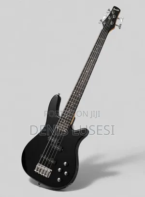Ibanez Solo Guitar