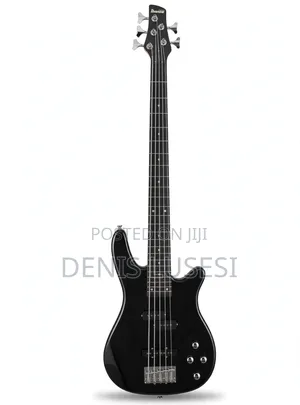 Ibanez Solo Guitar